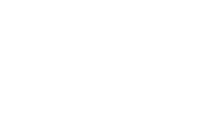 vinlyee logo-02