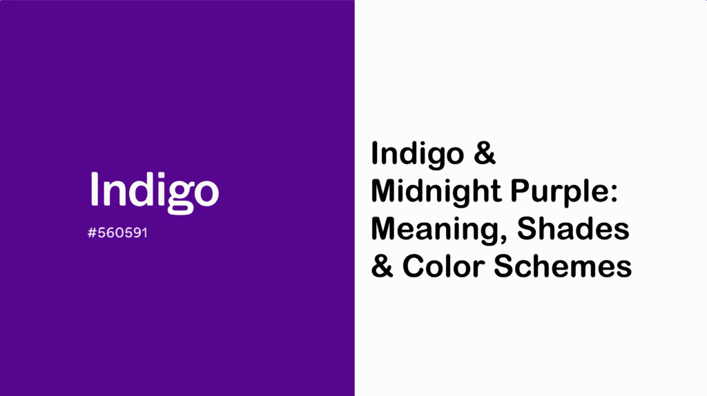 Midnight Purple-01